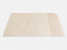 Load image into Gallery viewer, Complete ProMaster Paneling &amp; Trim Kit
